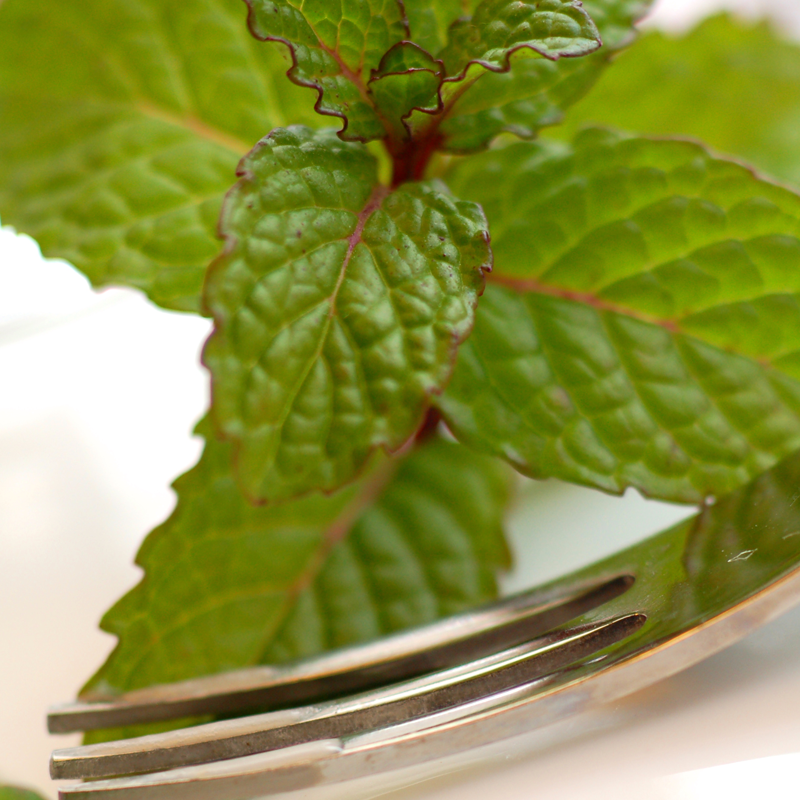 四季音ギャラリー６